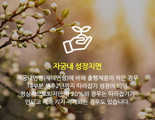 자궁내 성장지연